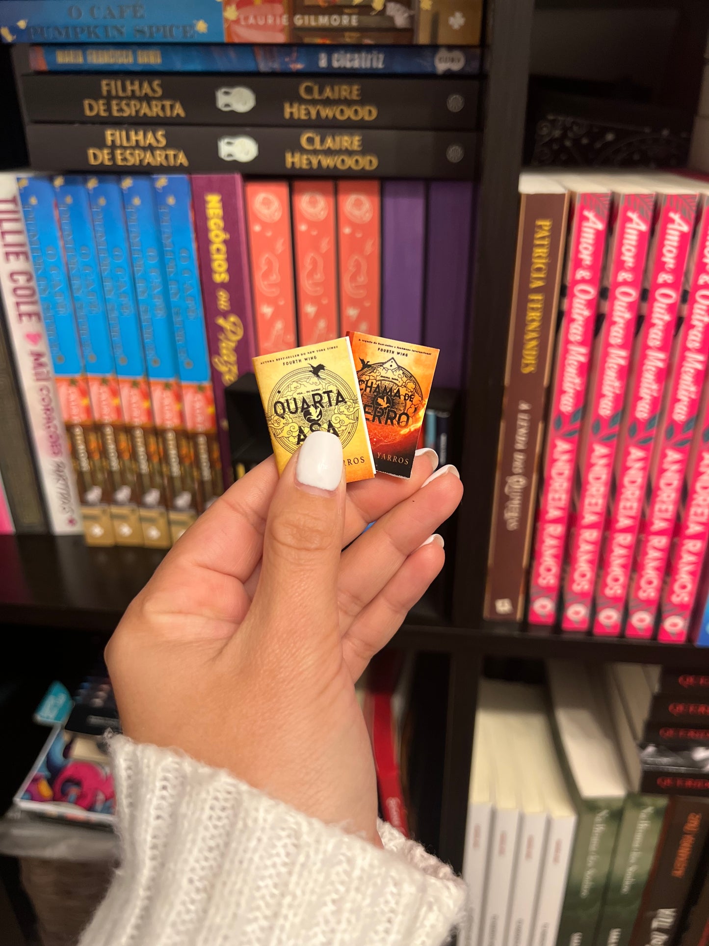 Mini-Estante e Mini-livros