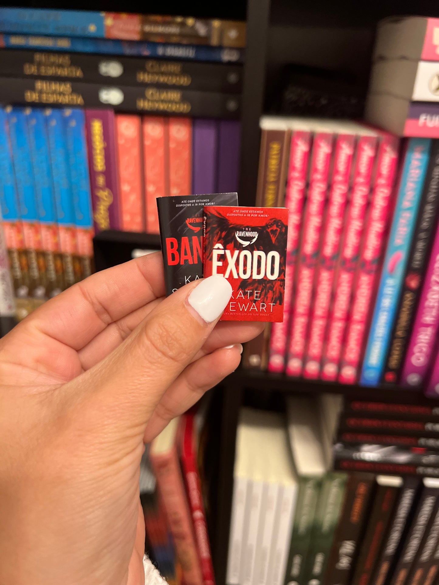 Mini-Estante e Mini-livros