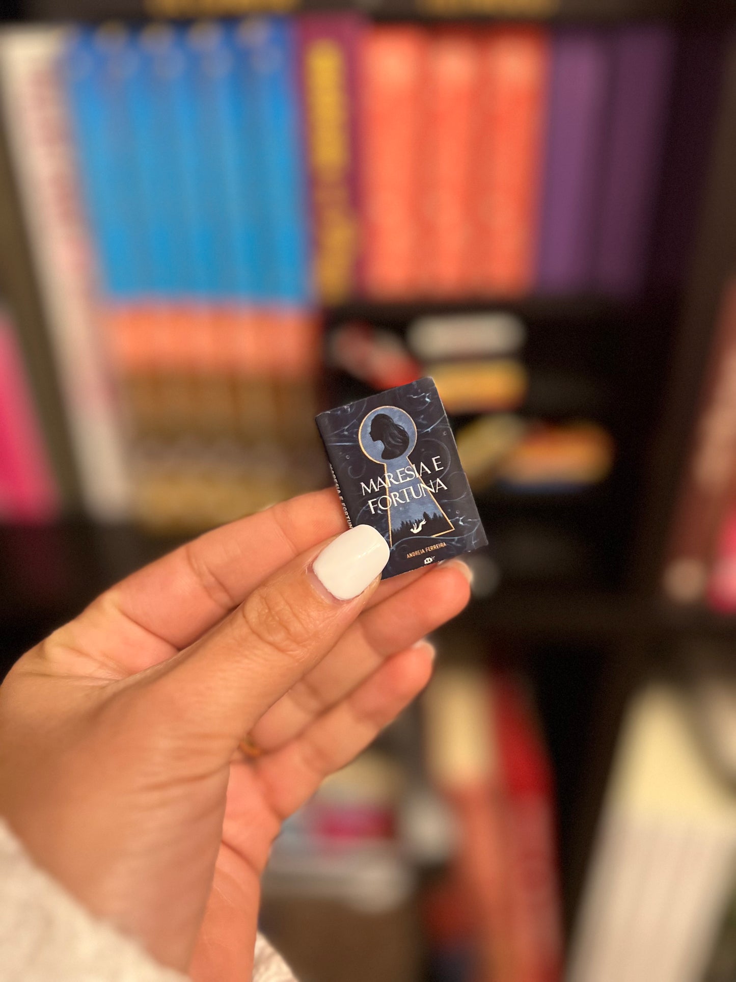 Mini-Estante e Mini-livros