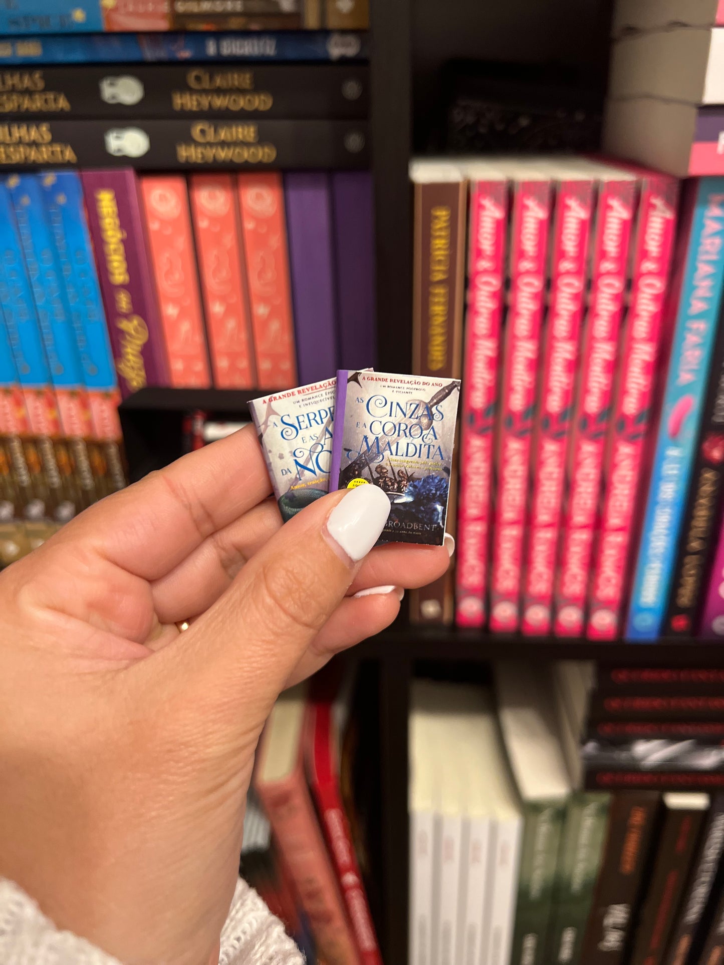 Mini-Estante e Mini-livros
