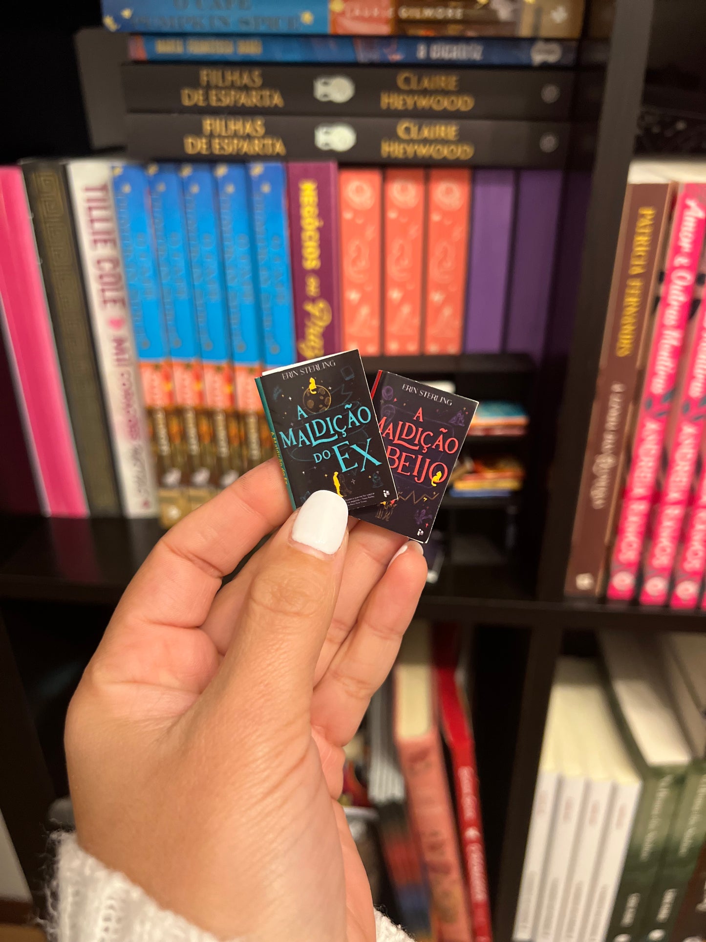 Mini-Estante e Mini-livros