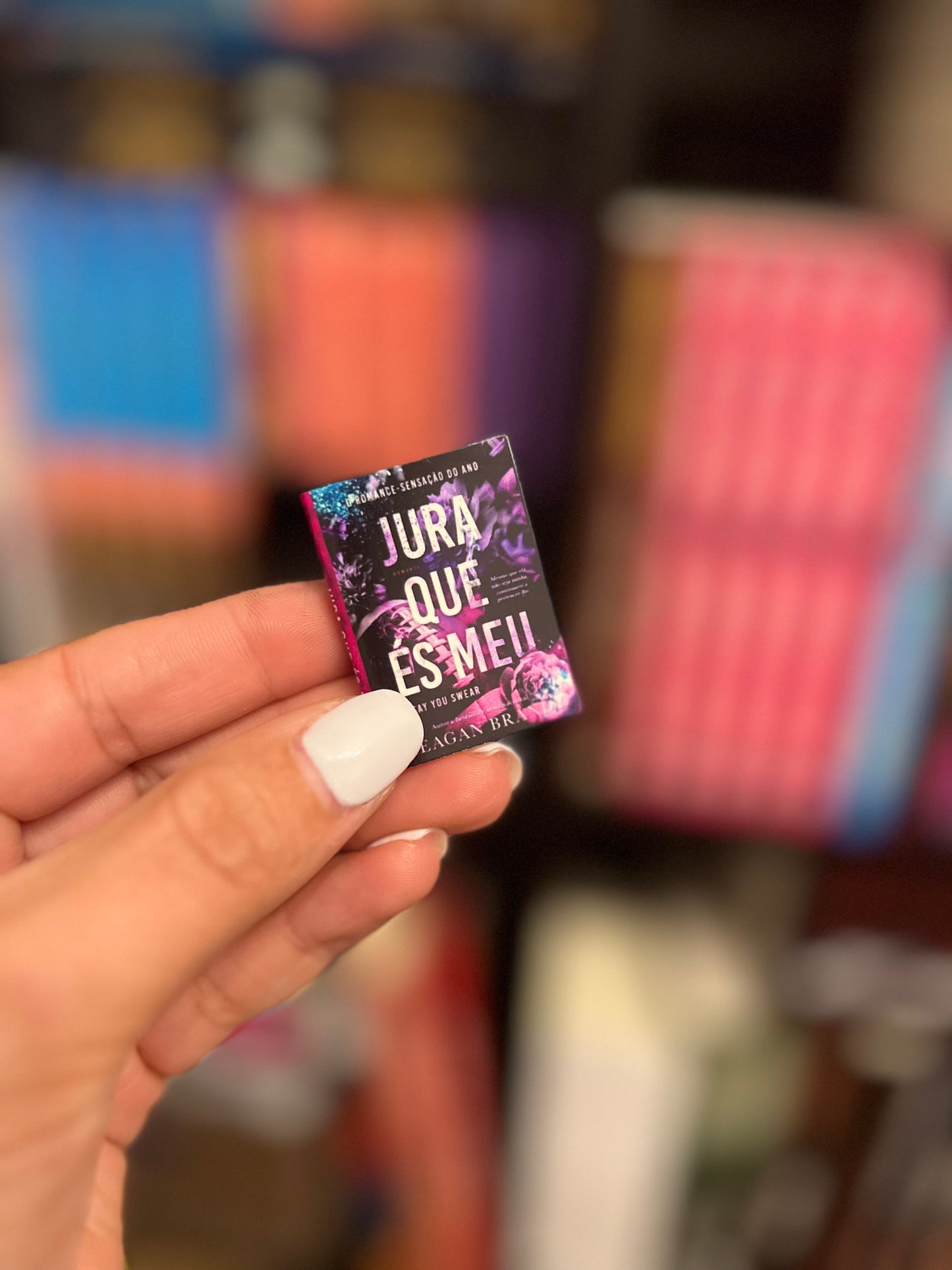 Mini-Estante e Mini-livros