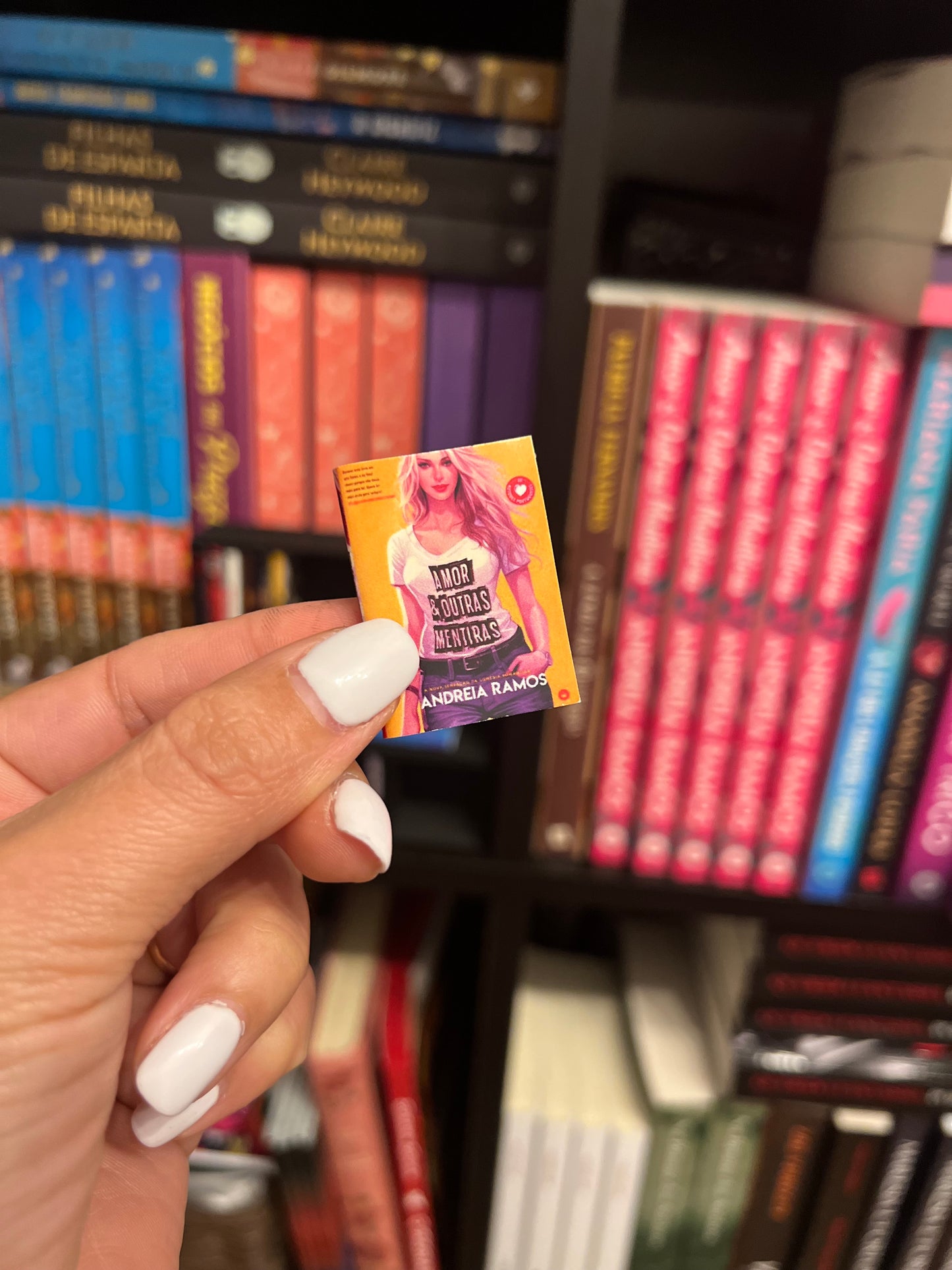 Mini-Estante e Mini-livros