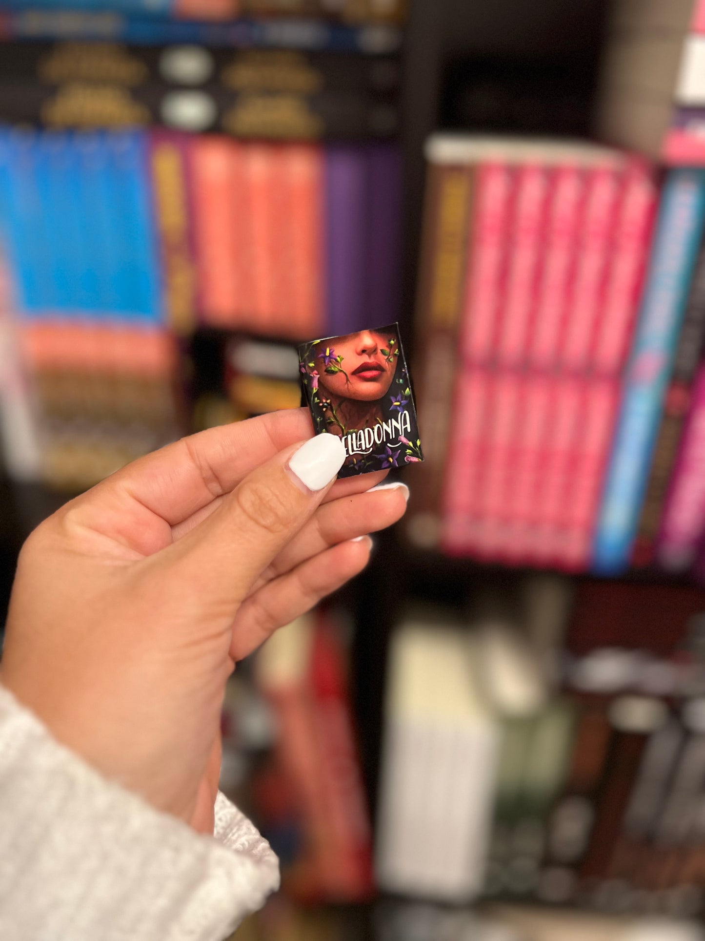 Mini-Estante e Mini-livros