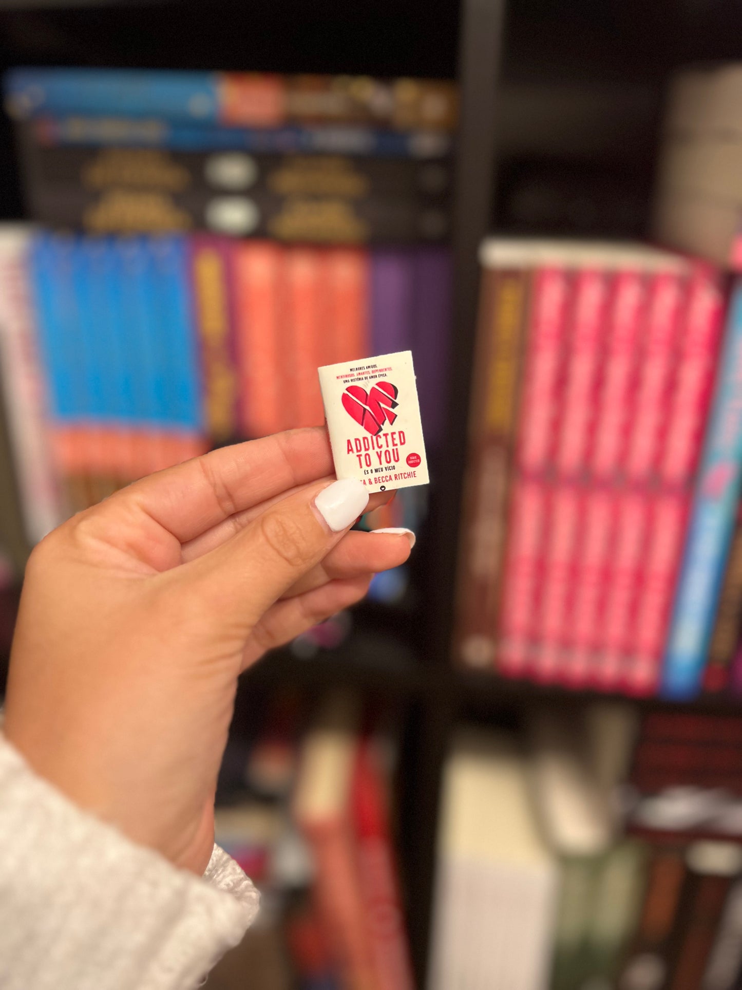 Mini-Estante e Mini-livros