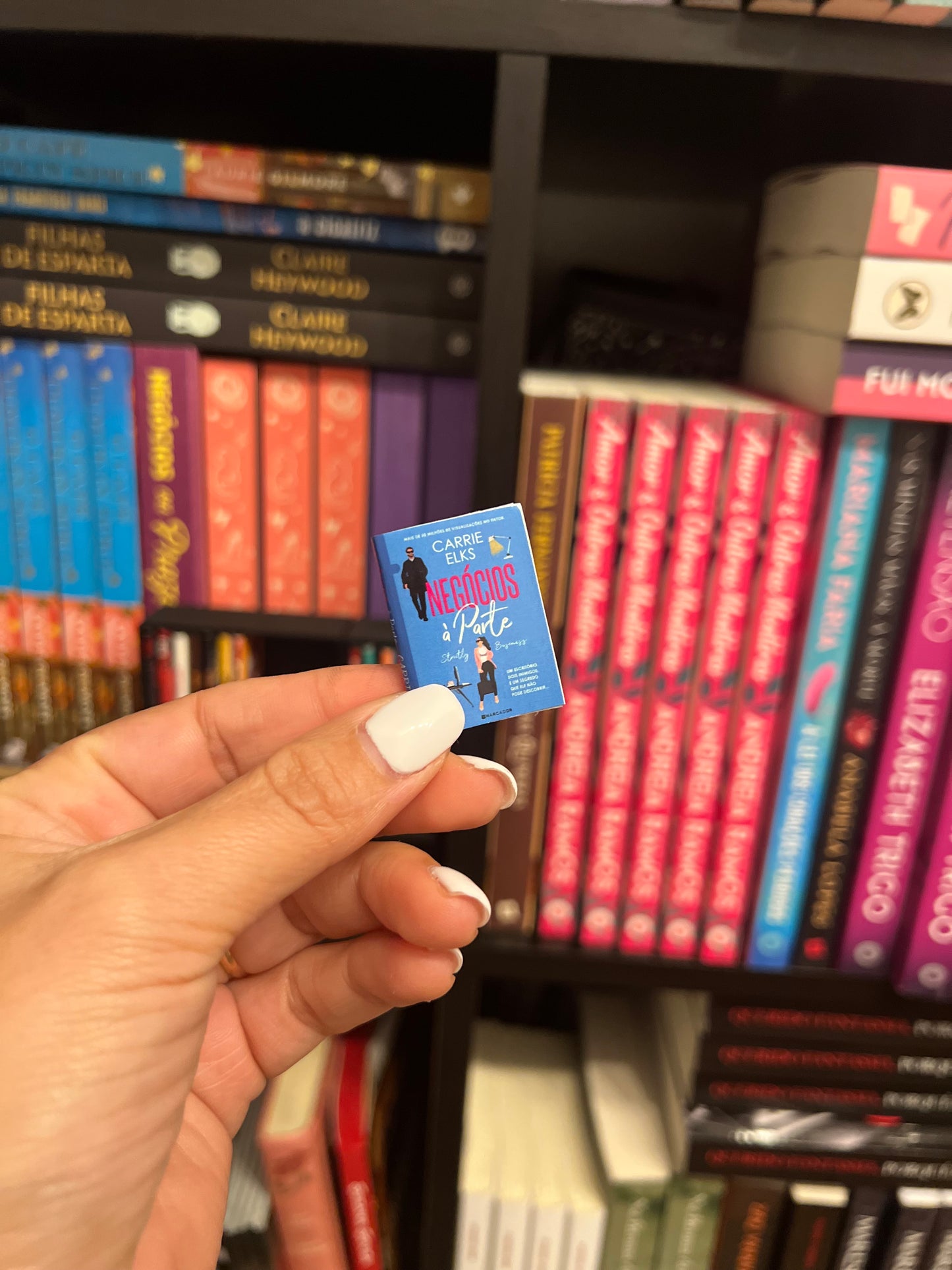 Mini-Estante e Mini-livros