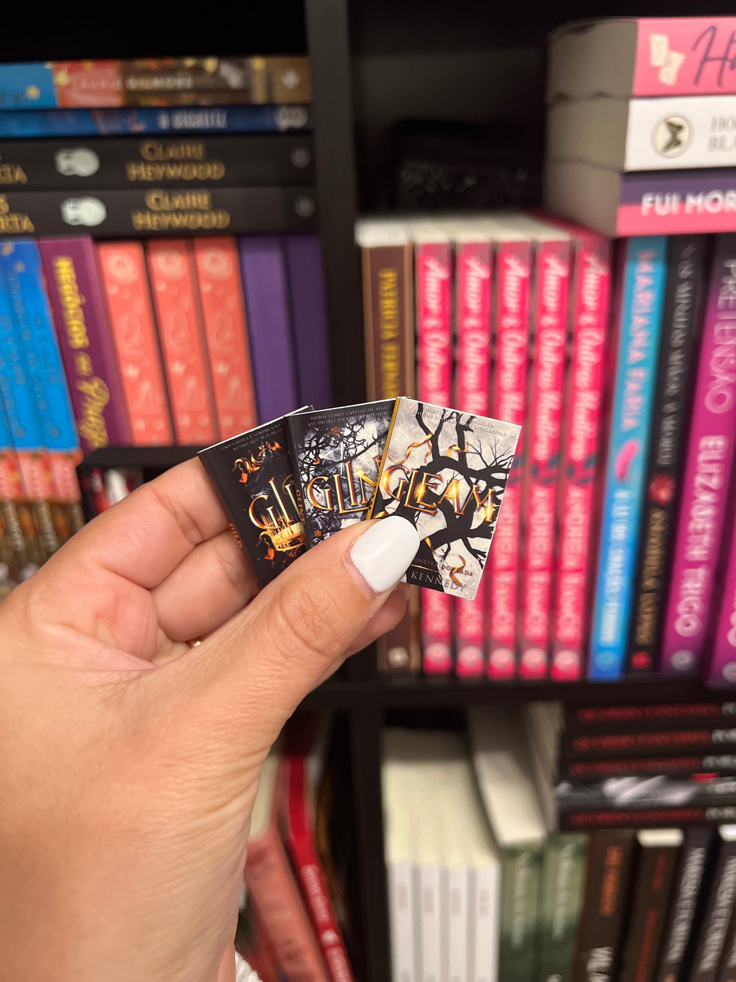 Mini-Estante e Mini-livros