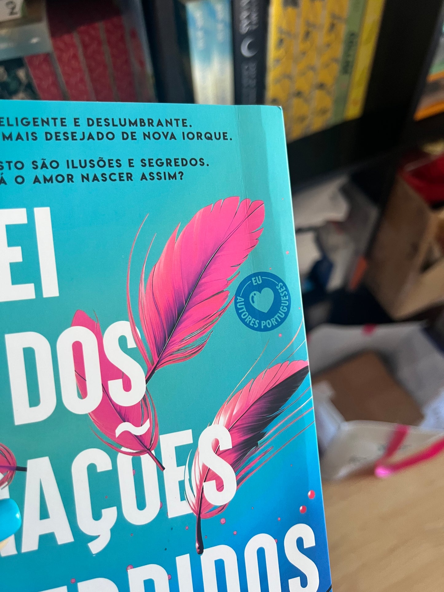 A lei dos corações perdidos - capa dobrada