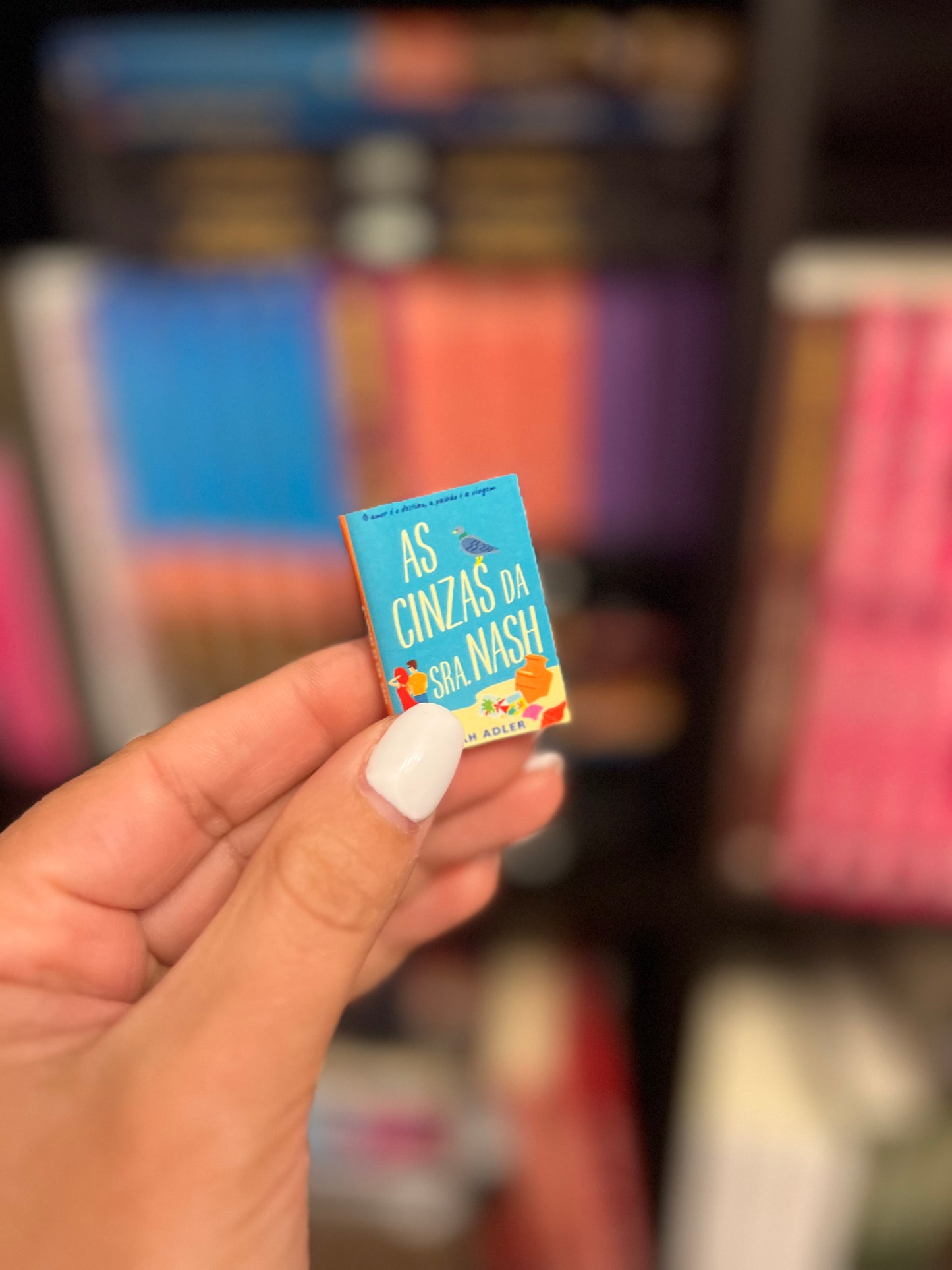 Mini-Estante e Mini-livros