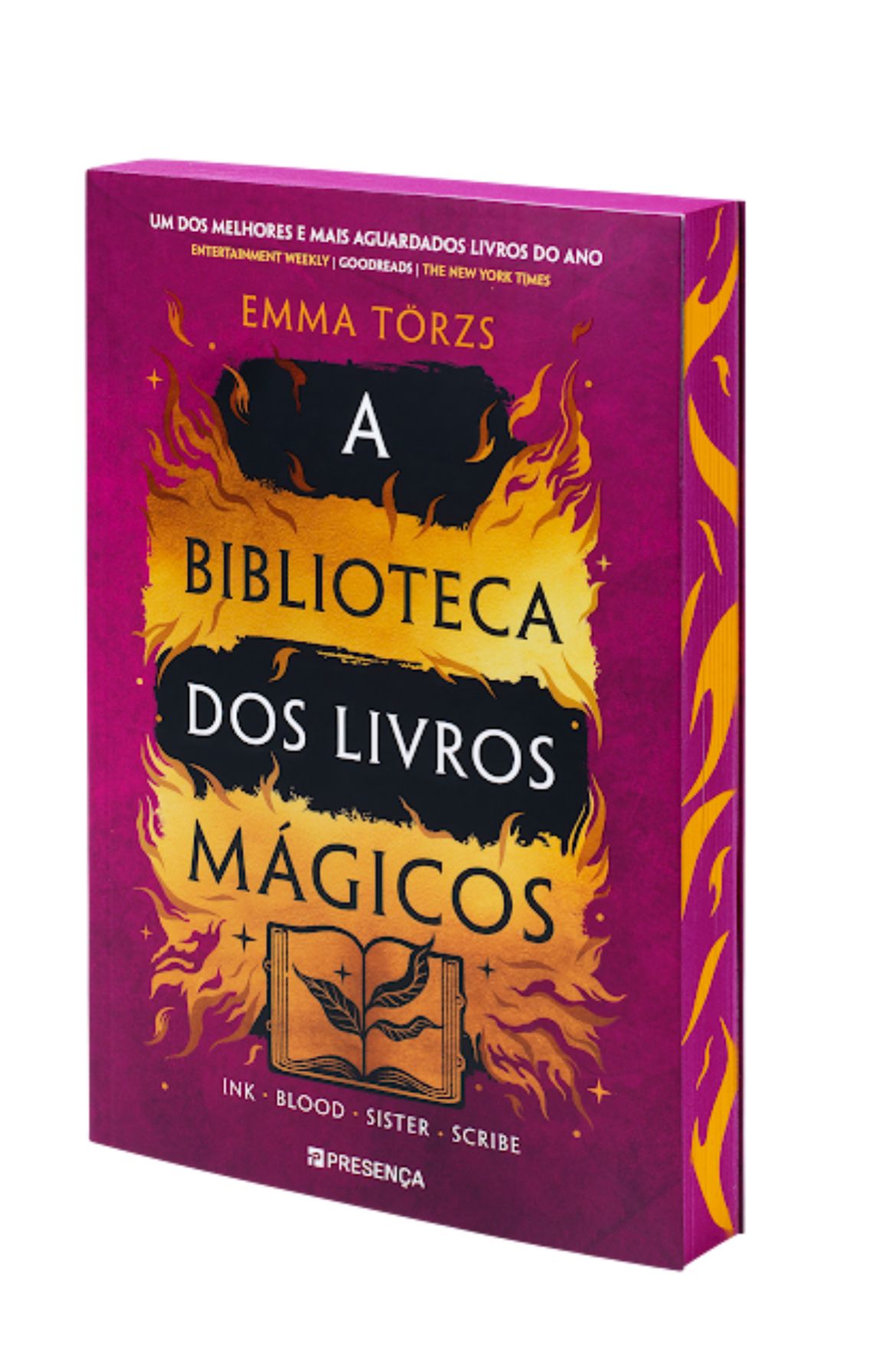 A Biblioteca dos Livros Mágicos (Edges Editora)